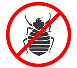 bed bug removal